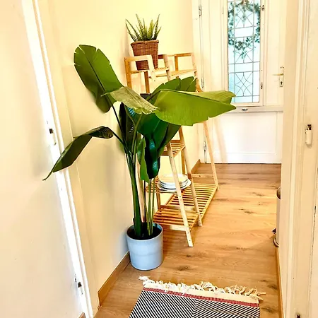 Apartmán Muzeum Butique *