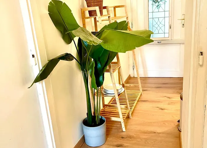 Muzeum Butique דירה